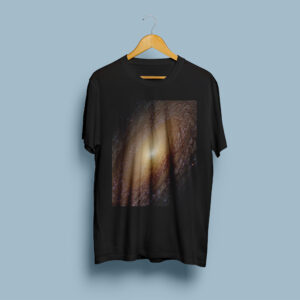 Spiral Galaxy NGC 2841